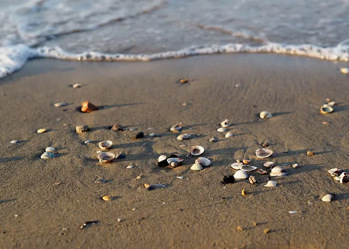 Apartament Homely With Terrace In - Beahost