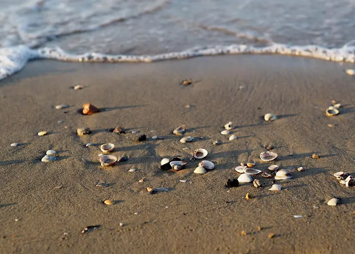 Homely With Terrace In - Beahost * Bibione